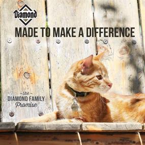 img 2 attached to Ultimate Diamond Adult Dry Cat Food: Fueling Feline Maintenance with Protein, Probiotics, and Antioxidants