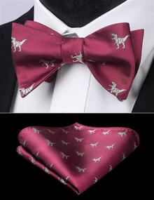 img 3 attached to 🦖 HISDERN Men's Dinosaur Jacquard Bowtie Set with Handkerchief - Stylish Accessories