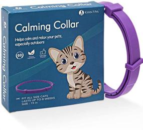 img 4 attached to 🐱 KOOLTAIL Calming Cat Collar - Adjustable Anxiety-Reducing Pheromone Kitten Collar - Long Lasting 60-Day Effects - Size: 15 inches