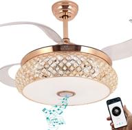 baysquirrel retractable invisible bluetooth chandelier логотип