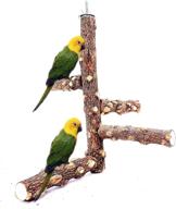 🦜 borangs bird perch: natural wood stand for small-medium parrots - toy branch for 3-4pcs cages logo