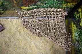 img 1 attached to 🦎 Penn-Plax Reptology Lizard Loungers - Premium Seagrass Fiber - Ideal for Bearded Dragons, Anoles, Geckos, and More Reptiles - Discover 6 Sizes & Styles