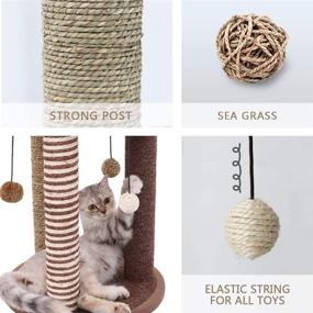 img 2 attached to 🐱 SONGWAY Cat Tree Furniture: Sisal Scratching Posts, Carpet Base, Interactive Toy - Ultimate Grooming and Rubbing Haven for Cats