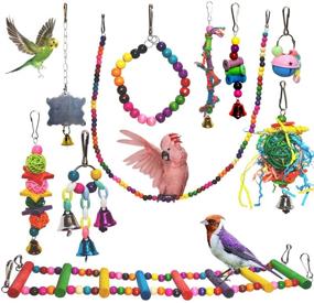 img 4 attached to PERIQUITO Bird Toys: Vibrant Fun for Parrots, Parakeets, Budgies, 🦜 and Cockatiels - Wood Hammock Swing, Hanging Bells, Rope Ladder, and More!