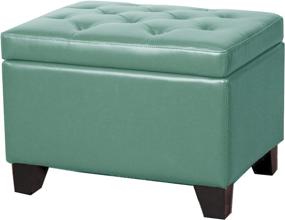 img 1 attached to 🔵 Turquoise Bonded Leather Storage Ottoman - New Pacific Direct Julian Rectangular