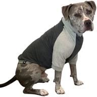 🐶 tooth & honey large dog clothing: comfortable dark grey dog pullover for allergy-prone dogs - lightweight color block summer shirt logo