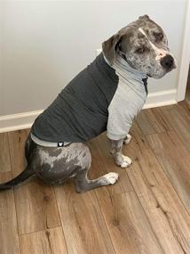 img 2 attached to 🐶 Одежда для больших собак Tooth & Honey: комфортабельный свитшот темно-серого цвета для аллергиков - легкая летняя рубашка в стиле цветных блоков.
