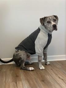 img 3 attached to 🐶 Tooth & Honey Large Dog Clothing: Comfortable Dark Grey Dog Pullover for Allergy-Prone Dogs - Lightweight Color Block Summer Shirt