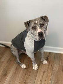 img 1 attached to 🐶 Tooth & Honey Large Dog Clothing: Comfortable Dark Grey Dog Pullover for Allergy-Prone Dogs - Lightweight Color Block Summer Shirt