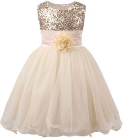 img 4 attached to JerrisApparel Little Girls Sequin Flower 👗 Girls' Clothing: Stunning Dresses for a Glamorous Look!