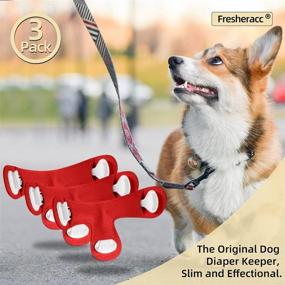 img 2 attached to 🐶 Adjustable Dog Diaper Clothes Suspender - 3 Pack Fresheracc Strap Keeper Clips for Pet Apparel Pants Skirt Belly Bands Wraps - Small, Medium, & Large Dogs - No Sliding Off, No Chewing Harness