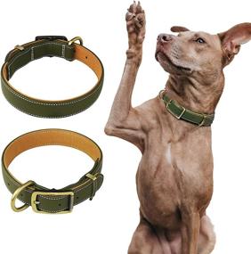 img 4 attached to 🐶 Joyeeiioo Leather Dog Collar: Premium Padded Soft & Strong Collar | Heavy Duty Alloy Hardware | Ideal for Small, Medium, Large Dogs