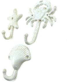 img 3 attached to 🐚 Exquisite Mironey Pieces Starfish Seashell Decorative for Elegant Home Décor