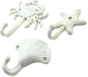 img 4 attached to 🐚 Exquisite Mironey Pieces Starfish Seashell Decorative for Elegant Home Décor