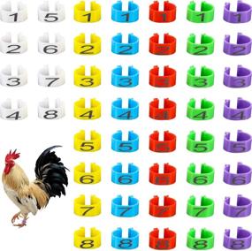 img 4 attached to Weewooday Multiple Identification Numbered Gamefowl