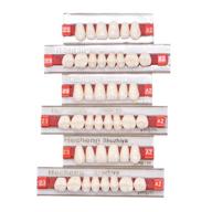 🦷 84 pieces of a2 halloween horror false teeth denture sets – dental synthetic resin tooth logo