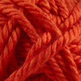 img 1 attached to 🦁 Пряжа Lion Brand Hometown USA Yarn - Orange Syracuse