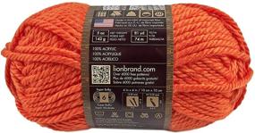 img 3 attached to 🦁 Пряжа Lion Brand Hometown USA Yarn - Orange Syracuse