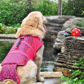 img 1 attached to 🐶 HAOCOO Dog Life Jacket Vest: Ensure Your Dog's Safety in the Water with Reflective Stripes and Adjustable Belt