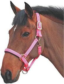 img 2 attached to 🔹 Topaz Leather Breakaway Nylon Halter by Shires