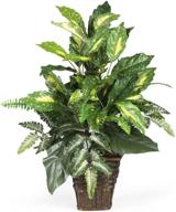 greens with wicker decorative silk plant - nearly natural 6527, green logo