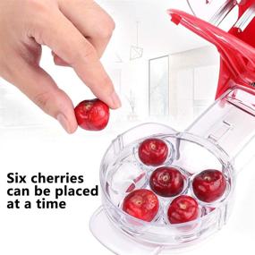 img 1 attached to Efficient Cherry Pitter Tool - Easily Remove Cherry Stones from 6 Cherries (Red)