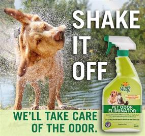 img 2 attached to 🐾 Get Rid of Pet Odors with Citrus Magic Pet Odor Eliminator - 22oz