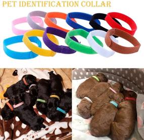 img 3 attached to 🐶 SOWAKA 12-пачковый набор ошейников для щенков: многоцветные, регулируемые, двусторонние и многоразовые идентификационные браслеты для маленьких собак, кошек и новорожденных котят