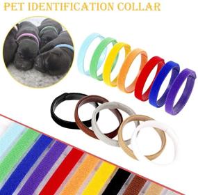 img 2 attached to 🐶 SOWAKA 12-пачковый набор ошейников для щенков: многоцветные, регулируемые, двусторонние и многоразовые идентификационные браслеты для маленьких собак, кошек и новорожденных котят