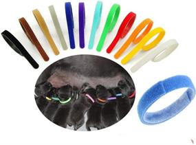 img 4 attached to 🐶 SOWAKA 12-пачковый набор ошейников для щенков: многоцветные, регулируемые, двусторонние и многоразовые идентификационные браслеты для маленьких собак, кошек и новорожденных котят