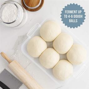 img 2 attached to 🍕 Blue Chef Pomodoro Dough Proofing Box - 14 x 11-Inch Household Pizza Dough Tray Kit: Fits 4-6 Dough Balls