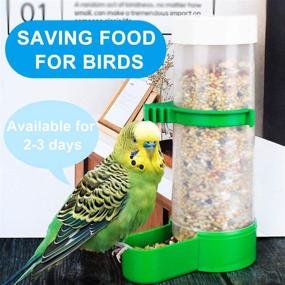 img 2 attached to 🐦 XISTEST 2PCS Automatic Bird Feeder & Water Dispenser Set - Ideal for Cage Pet Parrots, Budgies, Lovebirds, Cockatiels (140ml x 2 + 150ml x 1)
