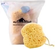 🛀 myhomebody premium bath sponge - large size, lots of lather - foam loofah sponge, body sponge for shower - 3 pack logo