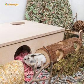 img 2 attached to 🌳 Niteangel Natural Wooden Hamster Mouse Tunnel Tube Toy: Explore the Forest through a Hollow Tree Trunk