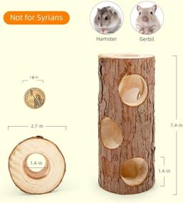 img 3 attached to 🌳 Niteangel Natural Wooden Hamster Mouse Tunnel Tube Toy: Explore the Forest through a Hollow Tree Trunk