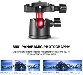 img 1 attached to SMALLRIG Tabletop Tripod, Compact Mini Desktop Travel Tripod with 360° Ball Head and Quick Release Plate - Lightweight Aluminum Alloy for DSLRs, Compact Cameras, Phone, Gopro (Black)