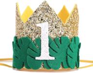 wild one 1st birthday hat logo