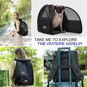 img 2 attached to 🎒 Versatile Black Pet Carrier Backpack: Perfect for Cats, Parrots, Puppies - Ideal for Travel, Hiking, Outdoor Adventures - Safety Features and Cushion Back Support Included