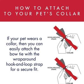 img 1 attached to 🐾 Huxley & Kent Pet Bow Tie Collar Attachment: Buffalo Check Bow Ties for Dogs & Cats - Cute, Comfortable, and Durable!