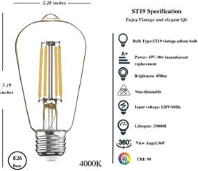 img 1 attached to ✨ Vintage Fixtures with Daylight Equivalent Filament