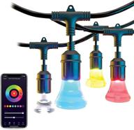 🌈 atomi smart 36-foot waterproof outdoor wifi white & color changing rgb led string lights with 18 commercial grade bulbs - works with alexa, google home, control from anywhere логотип