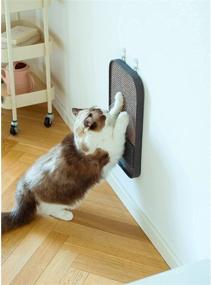 img 3 attached to 🐱 Catry Wall Mounted Cat Scratching Pad: 2-in-1 with Grooming Brush for Interactive Claw Care