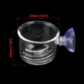 img 3 attached to 🐠 Senzeal 2PCS Large Glass Fish Feeding Cone Cup: Ideal Plant Cup for Brine Shrimp, Live Red Worm, and Aquariums with Seam