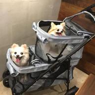 🐾 premium double pet stroller for dogs and cats - lightweight, sturdy, foldable - perfect for travel with multiple small and medium pets logo