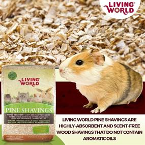 img 3 attached to 🐾 Premium 4-Cubic Feet Living World Pine Shavings: Top-Quality Bedding for Pets