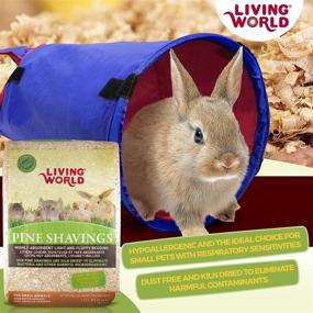 img 2 attached to 🐾 Premium 4-Cubic Feet Living World Pine Shavings: Top-Quality Bedding for Pets