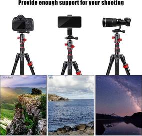 img 2 attached to 📷 Zomei M5 Camera Tripod with 360 Degree Ball Head and Phone Clip - Lightweight Travel Aluminum Monopod Stand for DSLR Cameras, Smartphone - Compact Portable Photography Equipment