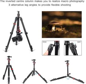 img 3 attached to 📷 Zomei M5 Camera Tripod with 360 Degree Ball Head and Phone Clip - Lightweight Travel Aluminum Monopod Stand for DSLR Cameras, Smartphone - Compact Portable Photography Equipment