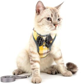 img 3 attached to 🐾 SELMAI Plaid Soft Mesh Cat Harness with Leash - Escape Proof Vest for Small Dogs - Ideal for Walking, Training, and Outdoor Activities - Suitable for Puppy, Chihuahua, Dachshund - No Pull Design