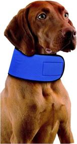 img 4 attached to Stay Cool Anytime with Penn-Plax Glacial Gear Cooling Collar for Dogs